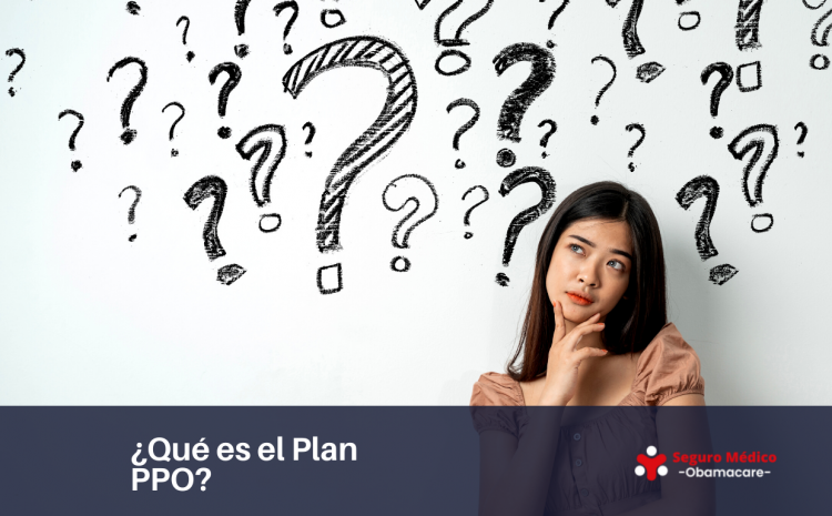  ¿Qué es un Plan PPO? 